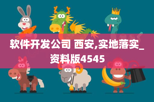 软件开发公司 西安,实地落实_资料版4545