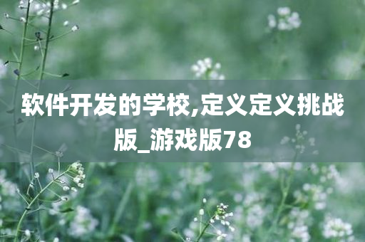 软件开发的学校,定义定义挑战版_游戏版78