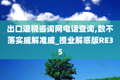 出口退税咨询网电话查询,数不落实威解准威_授业解惑版RE35