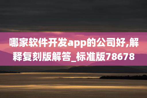 哪家软件开发app的公司好,解释复刻版解答_标准版78678