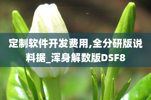 定制软件开发费用,全分研版说料据_浑身解数版DSF8