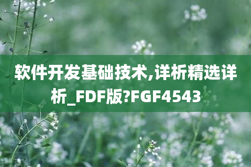 软件开发基础技术,详析精选详析_FDF版?FGF4543