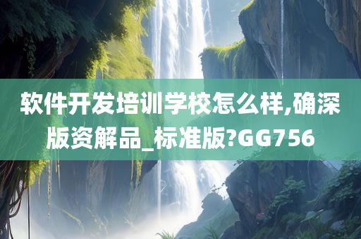 软件开发培训学校怎么样,确深版资解品_标准版?GG756