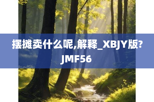 摆摊卖什么呢,解释_XBJY版?JMF56