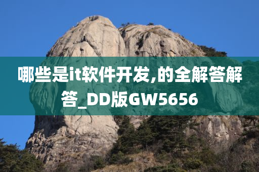 哪些是it软件开发,的全解答解答_DD版GW5656