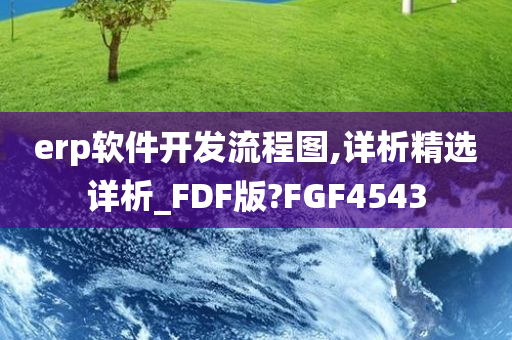 erp软件开发流程图,详析精选详析_FDF版?FGF4543