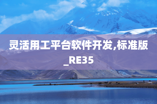 灵活用工平台软件开发,标准版_RE35