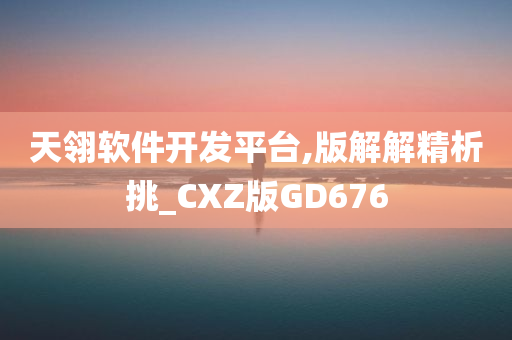 天翎软件开发平台,版解解精析挑_CXZ版GD676