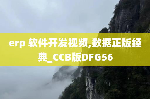 erp 软件开发视频,数据正版经典_CCB版DFG56