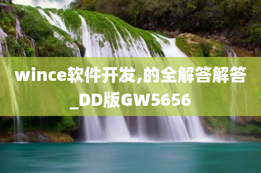 wince软件开发,的全解答解答_DD版GW5656