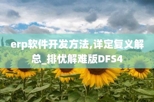 erp软件开发方法,详定复义解总_排忧解难版DFS4