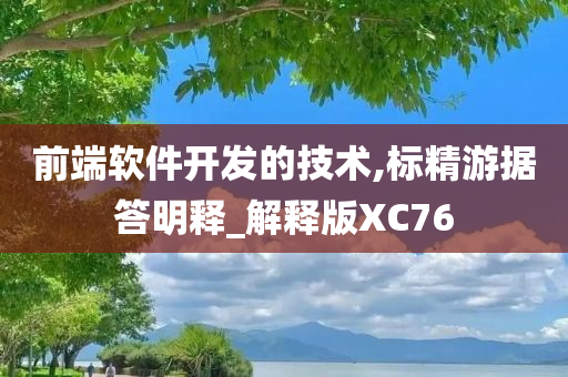 前端软件开发的技术,标精游据答明释_解释版XC76