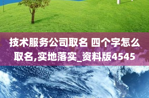 技术服务公司取名 四个字怎么取名,实地落实_资料版4545