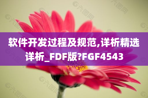 软件开发过程及规范,详析精选详析_FDF版?FGF4543