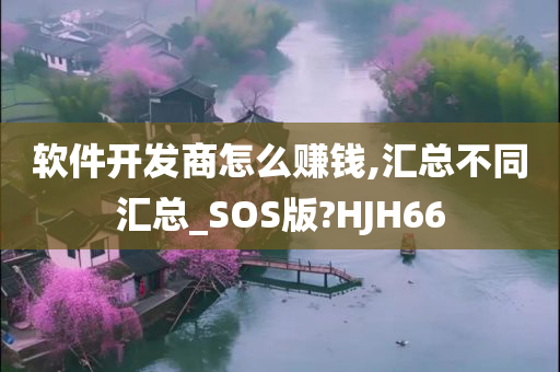 软件开发商怎么赚钱,汇总不同汇总_SOS版?HJH66