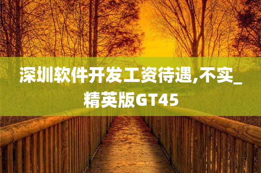 深圳软件开发工资待遇,不实_精英版GT45