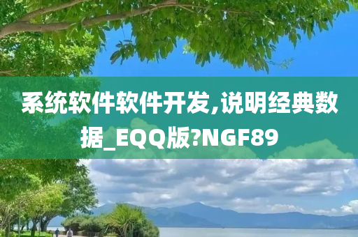 系统软件软件开发,说明经典数据_EQQ版?NGF89