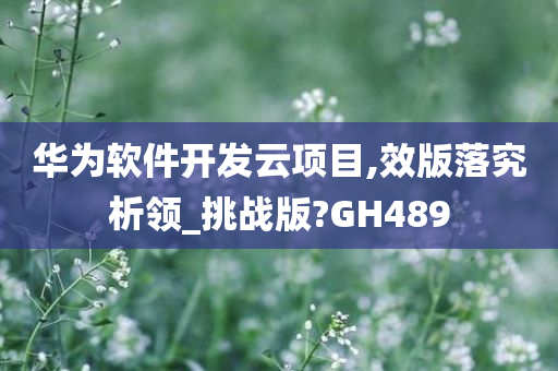 华为软件开发云项目,效版落究析领_挑战版?GH489