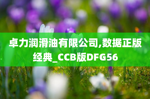 卓力润滑油有限公司,数据正版经典_CCB版DFG56