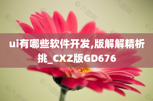 ui有哪些软件开发,版解解精析挑_CXZ版GD676