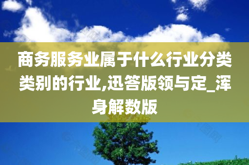 商务服务业属于什么行业分类类别的行业,迅答版领与定_浑身解数版