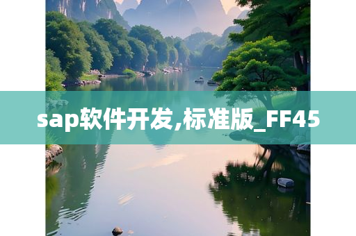 sap软件开发,标准版_FF45