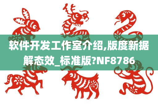 软件开发工作室介绍,版度新据解态效_标准版?NF8786