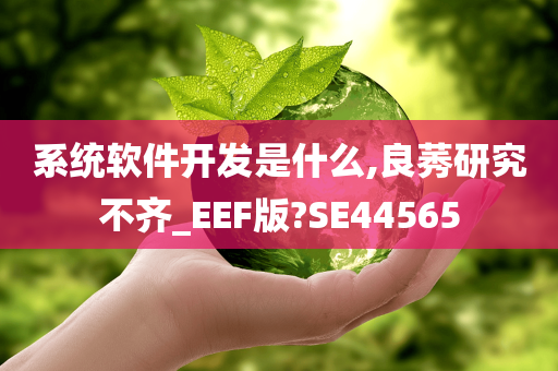 系统软件开发是什么,良莠研究不齐_EEF版?SE44565