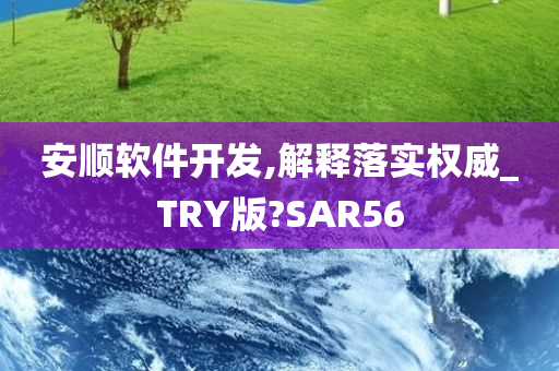 安顺软件开发,解释落实权威_TRY版?SAR56