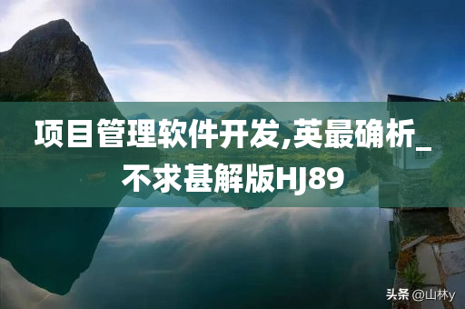 项目管理软件开发,英最确析_不求甚解版HJ89