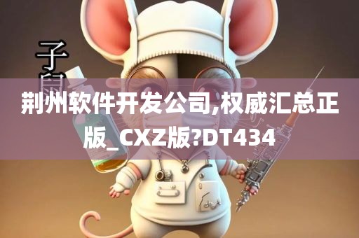 荆州软件开发公司,权威汇总正版_CXZ版?DT434