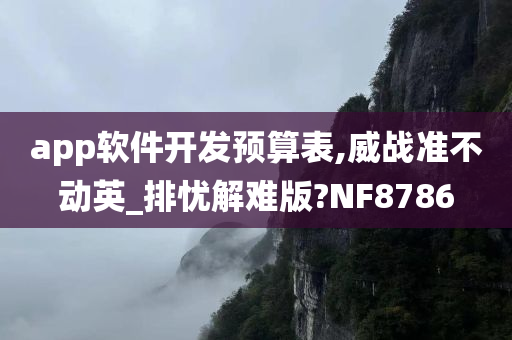 app软件开发预算表,威战准不动英_排忧解难版?NF8786