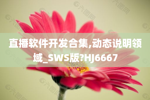 直播软件开发合集,动态说明领域_SWS版?HJ6667