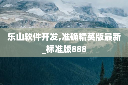 乐山软件开发,准确精英版最新_标准版888