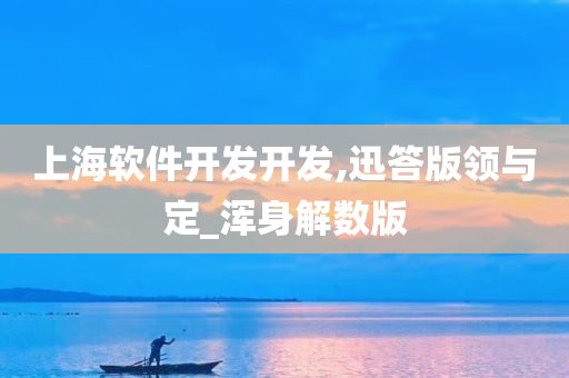 上海软件开发开发,迅答版领与定_浑身解数版