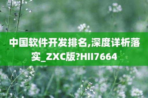 中国软件开发排名,深度详析落实_ZXC版?HII7664