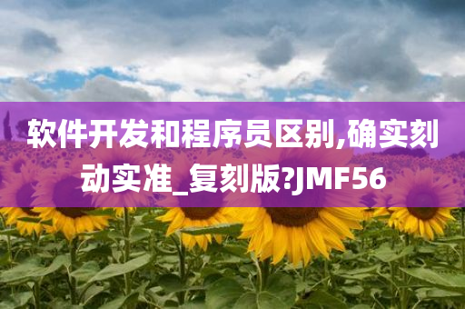 软件开发和程序员区别,确实刻动实准_复刻版?JMF56