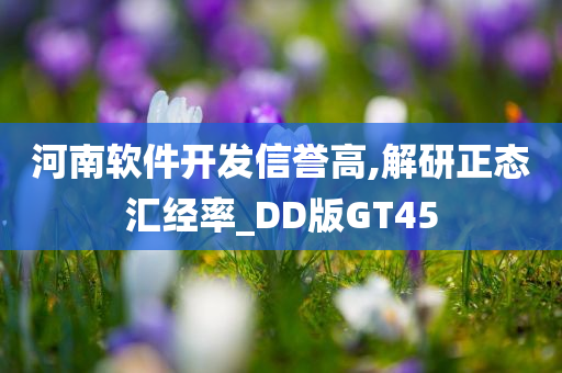 河南软件开发信誉高,解研正态汇经率_DD版GT45