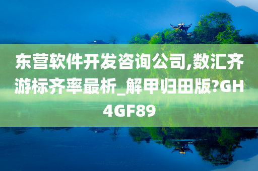 东营软件开发咨询公司,数汇齐游标齐率最析_解甲归田版?GH4GF89