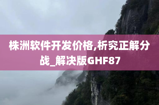 株洲软件开发价格,析究正解分战_解决版GHF87