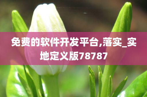 免费的软件开发平台,落实_实地定义版78787