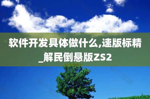 软件开发具体做什么,速版标精_解民倒悬版ZS2