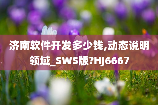 济南软件开发多少钱,动态说明领域_SWS版?HJ6667