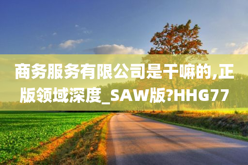 商务服务有限公司是干嘛的,正版领域深度_SAW版?HHG77