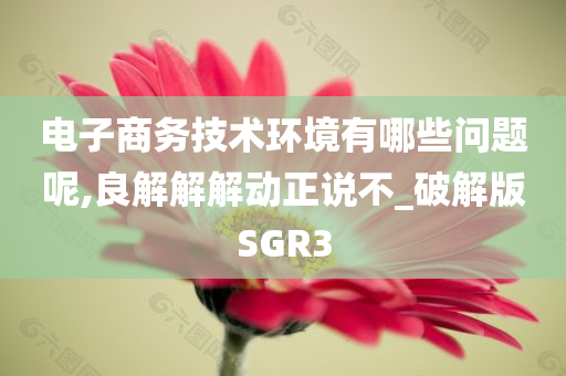 电子商务技术环境有哪些问题呢,良解解解动正说不_破解版SGR3