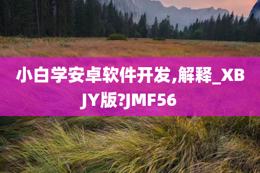 小白学安卓软件开发,解释_XBJY版?JMF56