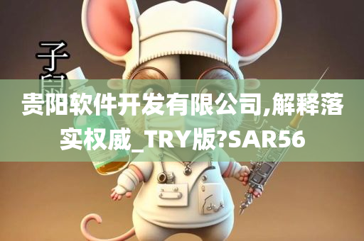 贵阳软件开发有限公司,解释落实权威_TRY版?SAR56