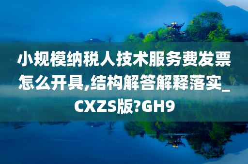 小规模纳税人技术服务费发票怎么开具,结构解答解释落实_CXZS版?GH9