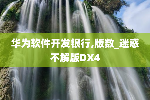 华为软件开发银行,版数_迷惑不解版DX4