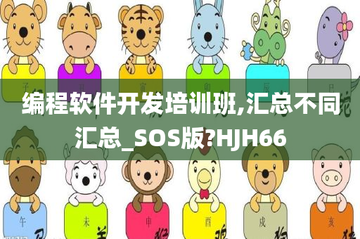 编程软件开发培训班,汇总不同汇总_SOS版?HJH66